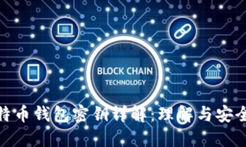 : 比特币钱包密钥详解：理解与安全管理