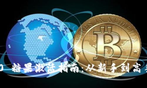 Tokenim 2.0 糖果激活指南：从新手到高手的全面解析