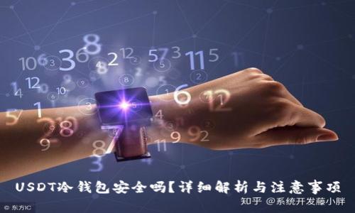 USDT冷钱包安全吗？详细解析与注意事项