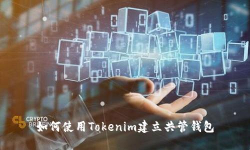 如何使用Tokenim建立共管钱包