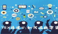深入了解Tokenim TRX通道U：