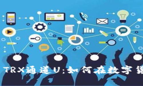 深入了解Tokenim TRX通道U：如何在数字货币市场中获取优势