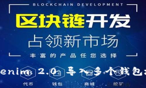 如何使用 Tokenim 2.0 导入多个钱包地址：全面指南