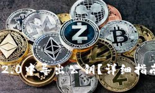 如何在TokenIM 2.0中导出公钥？详细指南与常见问题解答