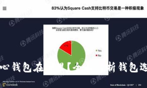 比特币中心钱包在哪里？全面解析钱包选择与使用