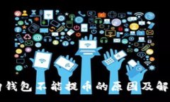 :比特购钱包不能提币的原因及解决方法