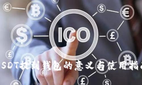 USDT提到钱包的意义与使用指南