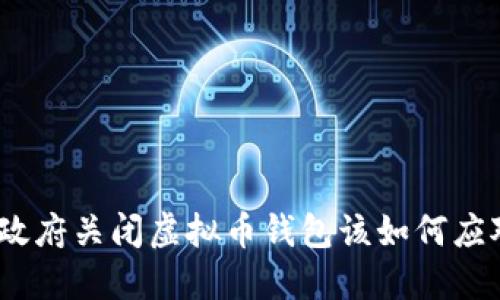 : 政府关闭虚拟币钱包该如何应对？