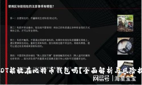 USDT能放在比特币钱包吗？全面解析与风险提示