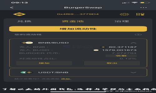 了解以太坊外国钱包：选择与管理的全面指南