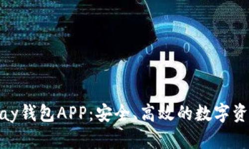 虚拟币OKPay钱包APP：安全、高效的数字资产管理工具
