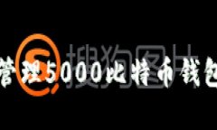 如何查看和管理5000比特币钱包的变动记录