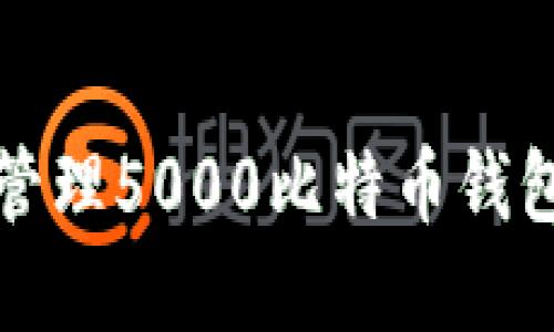 如何查看和管理5000比特币钱包的变动记录