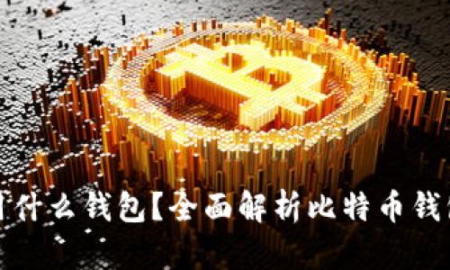 比特币提币用什么钱包？全面解析比特币钱包种类与选择