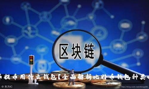 比特币提币用什么钱包？全面解析比特币钱包种类与选择
