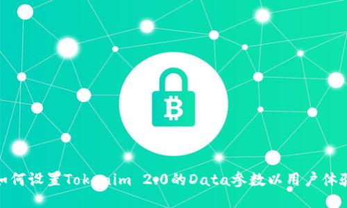 如何设置Tokenim 2.0的Data参数以用户体验