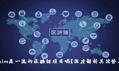 Tokenim是一流的区块链项目吗？深度解析其优势与