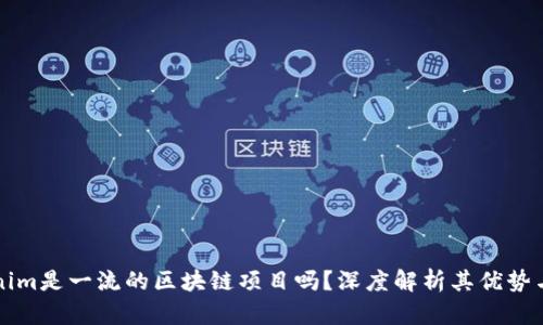 Tokenim是一流的区块链项目吗？深度解析其优势与潜力