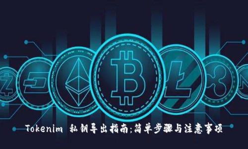 Tokenim 私钥导出指南：简单步骤与注意事项