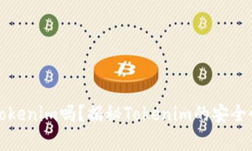 黑客能破解Tokenim吗？揭秘Tokenim的安全性与防护措施