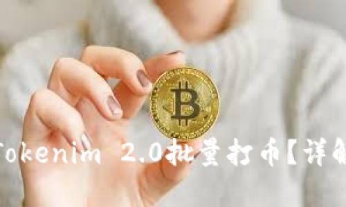 : 如何使用Tokenim 2.0批量打币？详解与实用指南