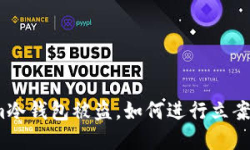 Tokenim冷钱包被盗，如何进行立案和维权？