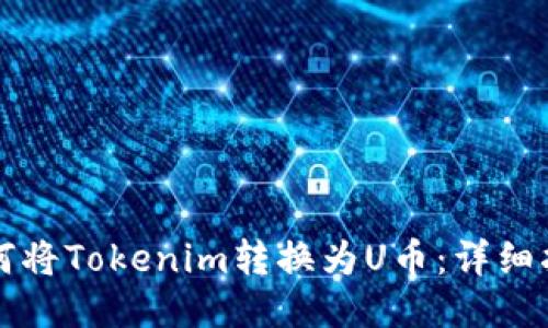 如何将Tokenim转换为U币：详细指南