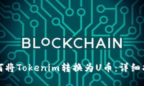 如何将Tokenim转换为U币：详细指南