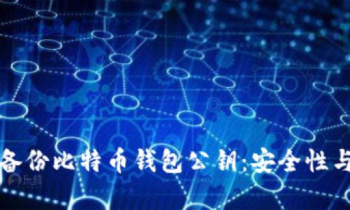 如何有效备份比特币钱包公钥：安全性与实用指南