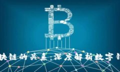 钱包与区块链的关系：深度解析数字钱包的本质