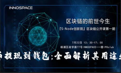 虚拟币提现到钱包：全面解析其用途和优势