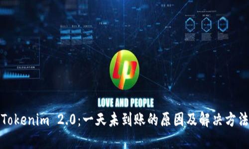 Tokenim 2.0：一天未到账的原因及解决方法