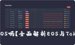 Tokenim支持EOS吗？全面解析EOS与Tokenim的兼容性