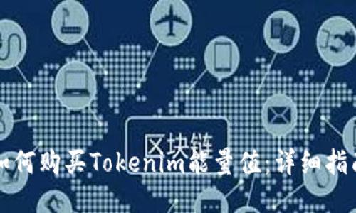 如何购买Tokenim能量值：详细指南