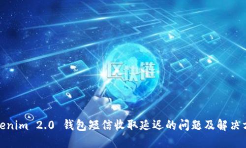 Tokenim 2.0 钱包短信收取延迟的问题及解决方案