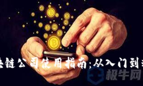 区块链公司使用指南：从入门到精通