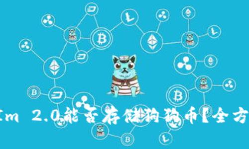 TokenIm 2.0能否存储狗狗币？全方位解析